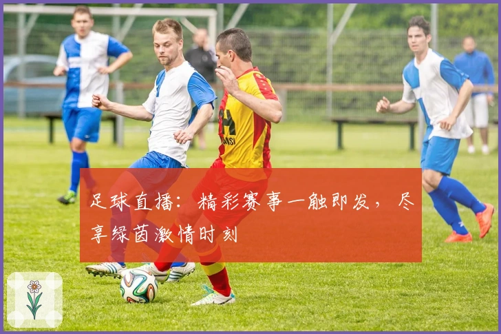 足球直播：精彩赛事一触即发，尽享绿茵激情时刻